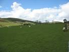 SN7481 : Fields near Ponterwyd. near to Ponterwyd, Ceredigion/Sir Ceredigion - via Daymix