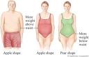 Body Fat Distribution: Healthwise Medical Information on ...