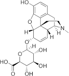 File:Morphine 6-glucuronide.png - Wikipedia, the free encyclopedia