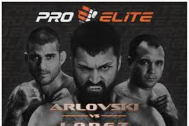 ProElite: Arlovski vs Lopez (Videos)