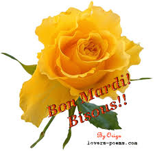 http://t3.gstatic.com/images?q=tbn:ANd9GcQRVcyptfQ--WgdVvujnPWXmDwZZRtPzF7_vo6bz6pXVhnlJ8eW