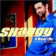 Shaggy Image Top 10 Reggae Pop Songs Picture 0