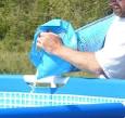 Swimming Pool Chemicals   Find Discount HTH Pool Supplies
