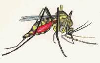 external image images?q=tbn:ANd9GcQRYoTGUV-aR013aDn8dFwEHvYzmvyQOUOAEVEDYpm8nKyDSj2-LbkJZr01jw