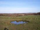 SD5812 : Mini pond at Rigby - via Daymix