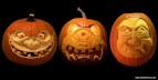 Memorial Jack-o-lanterns | Shawn Feeney