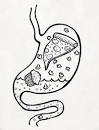 Lactose Intolerance And Digestive Enzymes | Best Of Mother Earth