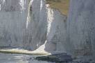 Cretaceous Collapse at Seven - via Daymix