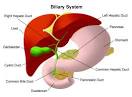 <b>Hepatitis</b> is inflammation of