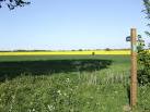 This level land is at 60m altitude, an average height for the dissected East - via Daymix