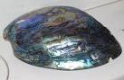  Abalone Jewelry Gallery-Internet Stones.