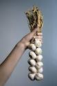 how to cook garlic