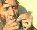the scorpion king