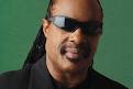 The My Hero Project - Stevie Wonder