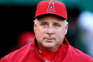 The Angels will win the AL