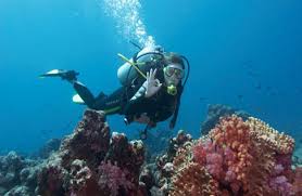 best destinations for diving