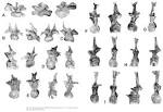 Barosaurus lentus AMNH 6341 dorsal sequence « Sauropod Vertebra ...