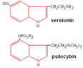 Plant Alkaloids