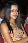 Trisha out, Shriya Saran in
