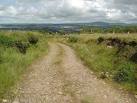 this is thanks to large stones in its makeup along with good drainage. - via Daymix