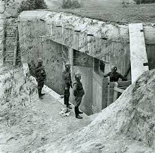 images?q=tbn:ANd9GcQT2sp-dbDswYKhUtLZtbYCXhyqWPR2srB3xv9fQKQsHT8QJpT2