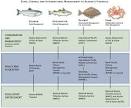Alaska Seafood Marketing Institute (