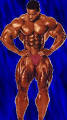 top bodybuilders