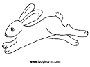 Rabbit coloring page