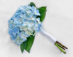 Flowers photo 3