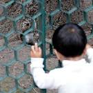 Squirrel Kid: A Mexican - via Daymix