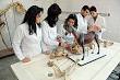 Doctor of Philosophy in Veterinary Pharmacology & Toxicology - Sri ...