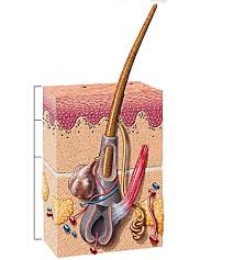 images?q=tbn:ANd9GcQTfzFuCD3M3FKMCtV_EpEgBHJVDOKyD7jrz-1isWVPINJaE7h3KA