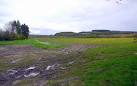 South Park. Looking across Prudhoe Moor towards Low Guards Wood. - via Daymix