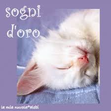 Dolce Notte - Pagina 4 Images?q=tbn:ANd9GcQTjptD7Cu5QFlECaB7Z25zBIp-9uvbqvLUess7FHOWHkjHwXvj&t=1