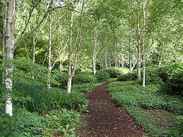 external image images?q=tbn:ANd9GcQTtjwBtVMG8TFyPBud4plUS91bYDGD4-H1tHAySE6di8gPZcW2