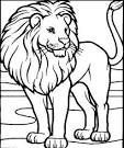 Lion coloring page