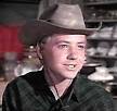 Wagon Train - Michael Burns, Robert Horton, Robert Fuller