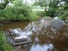is a kipper or cat food - via Daymix