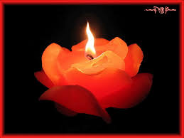 http://t3.gstatic.com/images?q=tbn:ANd9GcQUKO9p5v8xd2ypuyHYdAvluV6V1HU6UJoQbzHTPDoV5bKp_RjQmEFZIDkT_Q