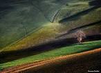 500px / Photo "Chiarone Valley - Piacenza Appennines" by Francesco ...