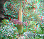 Images 3d | Picsdesigns.