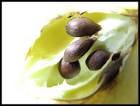TrekLens | Apple Seeds Photo