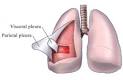 Pleurisy Definition &amp; Overview - EmpowHER.