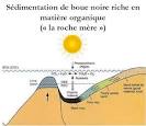 Recherche schéma sur la formation du pétrole