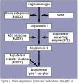 USPharmacist.com > The New Renin Antagonist: Aliskiren