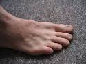 Toes. Lots of toes.