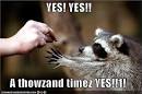 YES! YES!! - Lolcats 'n' Funny Pictures of Cats - I Can Has ...