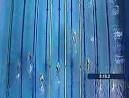 sex tape manaudou free
