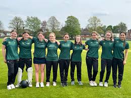 Image result for Effingham Cricket Club