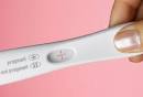 Can you be pregnant if the pregnancy test is negative?
